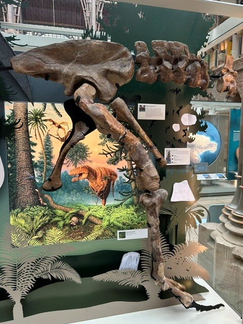 dinosaur mount, object mount tender natural history museum dauphin mount makers