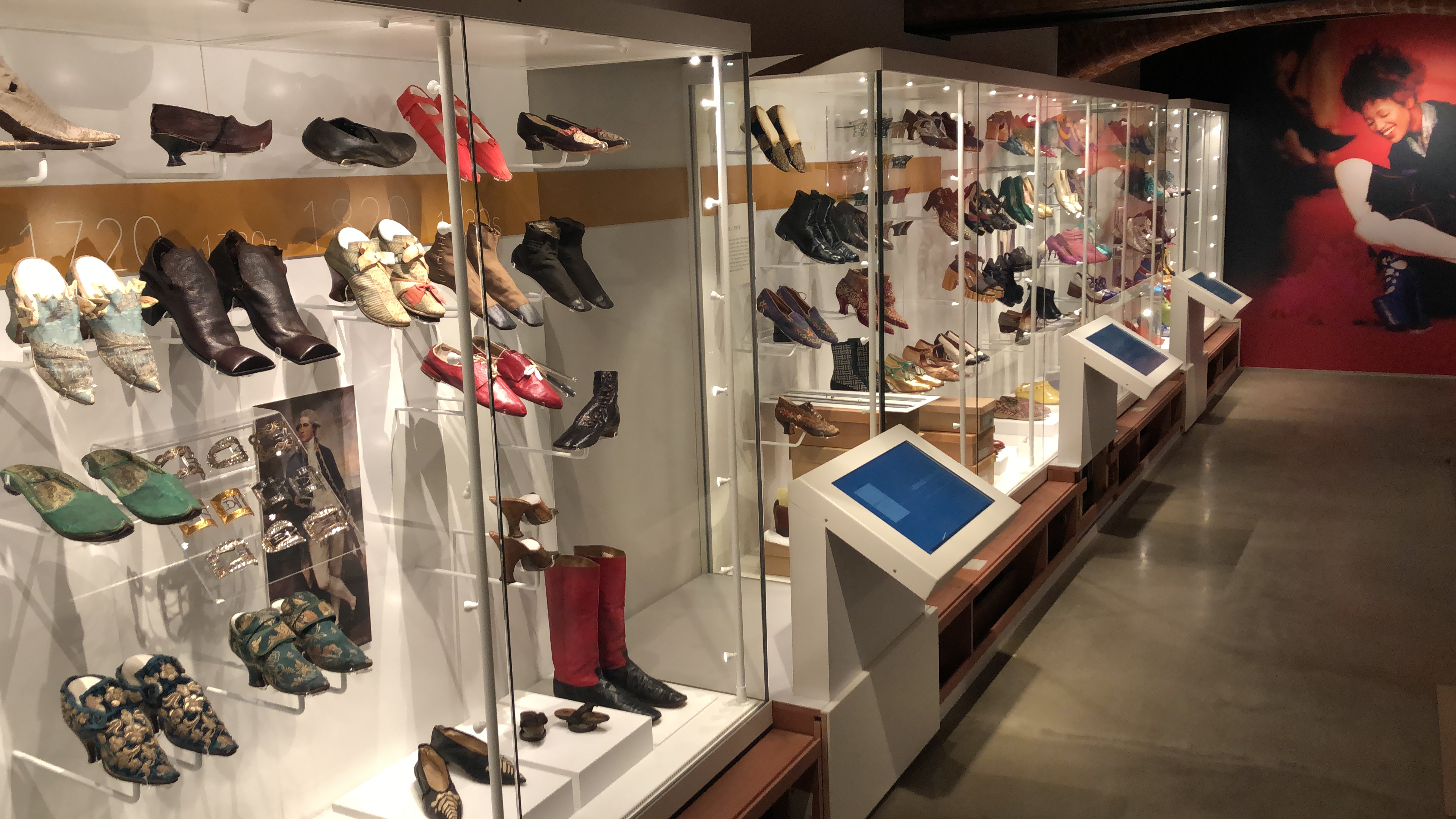 Display cases with shoes and mounts at Northampton Museum and Art Gallery